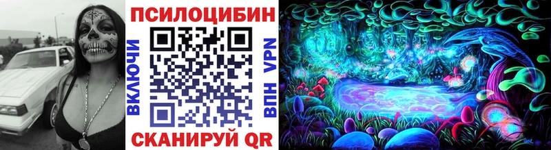 где можно купить   ссылка на мегу зеркало  Галлюциногенные грибы ЛСД  Светогорск 